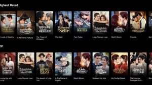 OJK Wanti-wanti Penipuan Modus Baru Lewat Tontonan Drama China