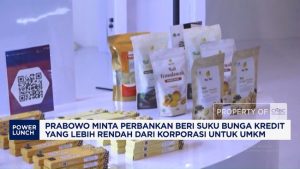 Prabowo ke Himbara:Bunga Kredit UMKM Harus Lebih Rendah dari Korporasi