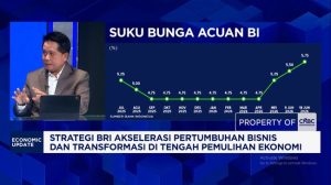 Video: Bedah Jurus BRI Dukung Program Pemerintah dan Transformasi Bisnis