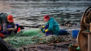 Geger Nelayan Cirebon Temukan Harta Karun Rp 720 Miliar Saat Mancing