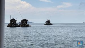 Semester I-2026, Laba TINS Melesat ke Rp 2,71 Triliun, Ini Penyebabnya