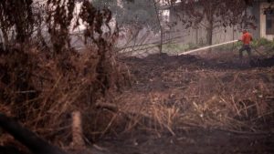 Bos Bursa Jelaskan Dampak Karhutla Kalimantan ke Bursa Karbon